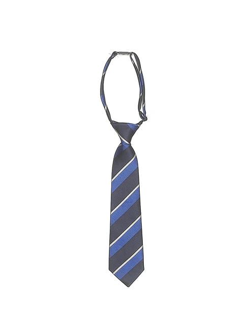 The Children's Place Boys Blue Necktie 24 Months