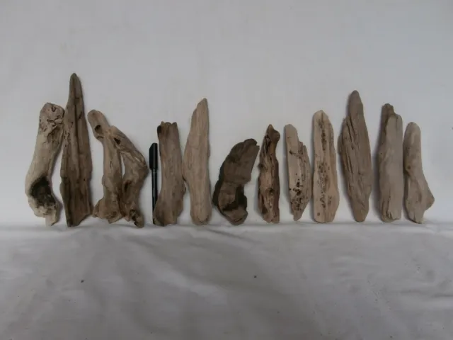 Legno di mare figura corpo chiaro largo (2279) legni bricolage deco arte shabby