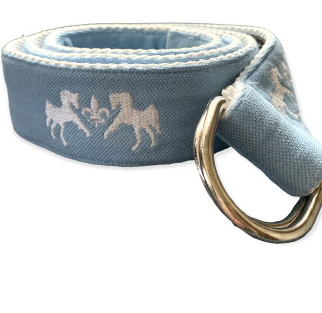 Equine Couture D-Ring Ribbon Belt with Logo - Pink - Light Blue- EUC
