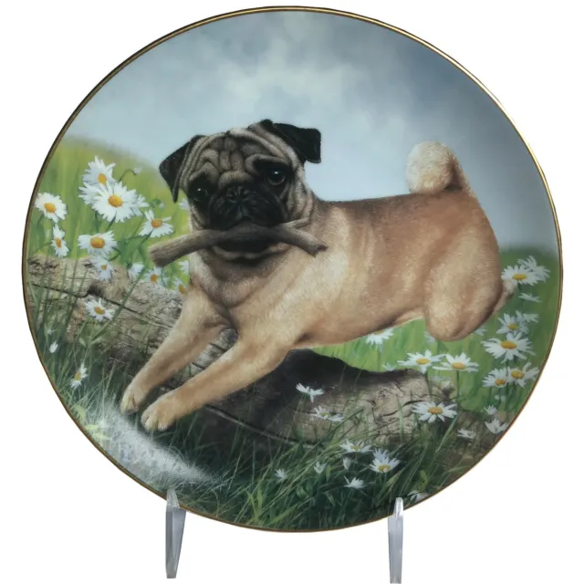 Danbury Mint Pug in Play Collectible Plate Simon Mendez Limited Edition