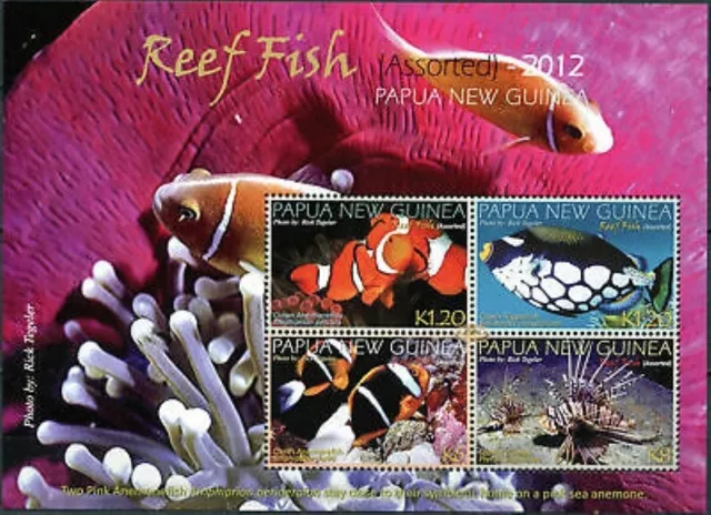 2012 Papua New Guinea - Reef Fish - Sheetlet of 4 - MNH
