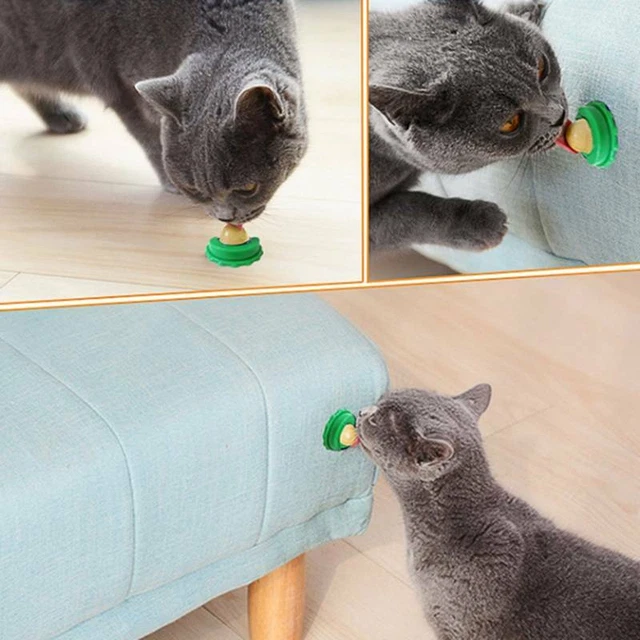 Bola de lamida de gato mascota bocadillo pescado gelatina golosinas caramelo lamible nutrición Ene N/,-