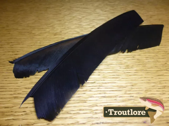 Black Turkey Biot Quill Pieces Nature's Spirit - New Fly Tying Feathers