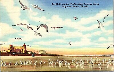 Sea Gulls World's Most Famous Beach Daytona Beach Florida FL c1949 UNP Postcard
