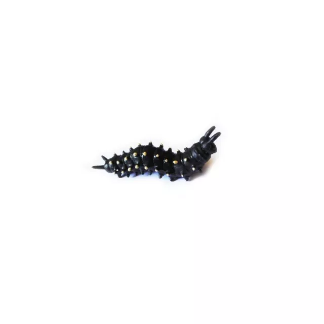 Geocaching geocache Black Worm with Nano Forest City Micro Geocache Special