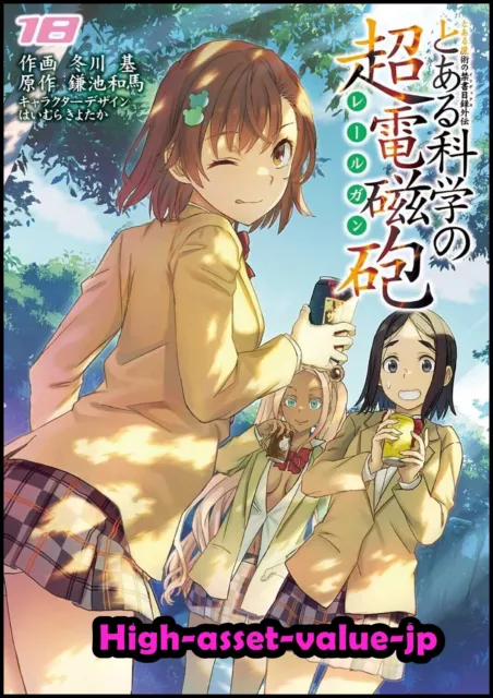 USED) Doujinshi - Toaru Kagaku no Railgun / Accelerator x Last Order  (ミサカとミサカ!? とあるつれづれ夏休み) / Little Crown