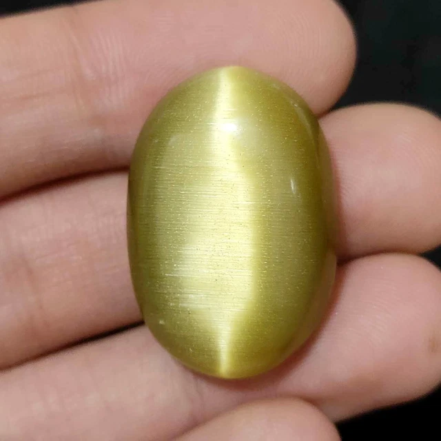 52.70 Cts Natural BI Color Cats Eye Cab Shape  Excellent  Gemstone
