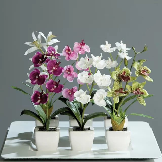 6er Orchideen Set Kunstplanze Phalaenopsis Orchidee 23cm Keramik Topf Kunstblume