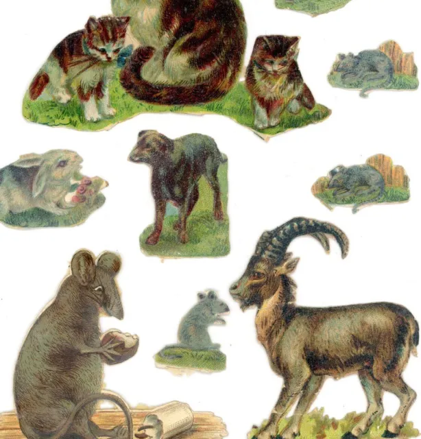 Antique Victorian Die Cut Scrap collection 9 various animals cute cool 1880s #17