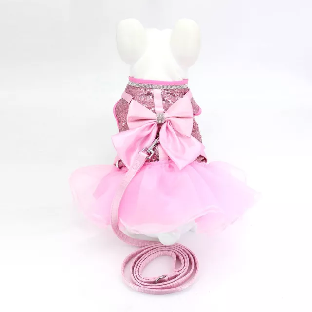 Dog Dress Lace Pet Puppy Cat Harness and Leash Set Cute Skirt Princess Small Dog 3