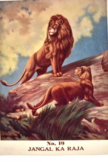 Vintage Lithographie Imprimé Représentant Lion The King De Jungle Ka Raja Objets 2