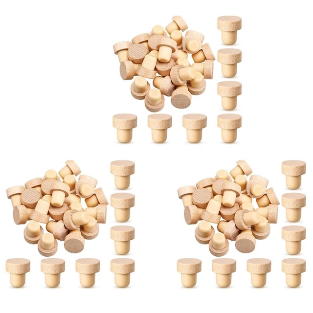 20PièCes Bouchon De Bouteille Vierge Avec Tige FiletéE Inserts De