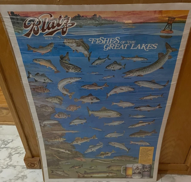 Blatz Beer Fishes of the Great Lakes 22" x 35-5/8" Poster: 1991 G. Heileman