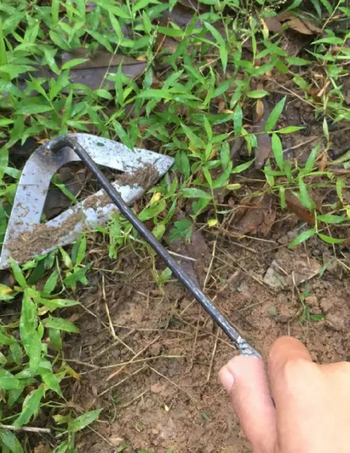 Grass Removal Tool Farm Gardening Yard Hand Blade Sickle Cutter Remover Scythe