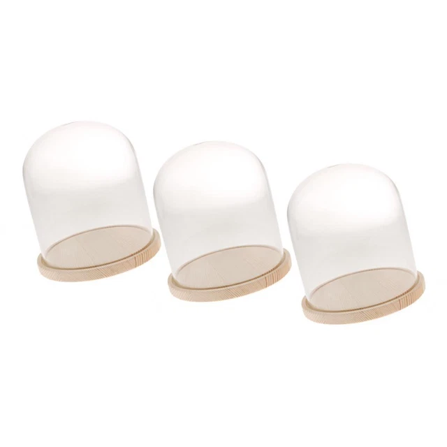 3 Stück Festival Glaskuppel mit Basis Display Bell Jar Case Dome Tischplatte