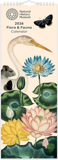 2026 NATIONAL HISTORY Museum Flora & Fauna Slim Wall Calendar £12.60 ...