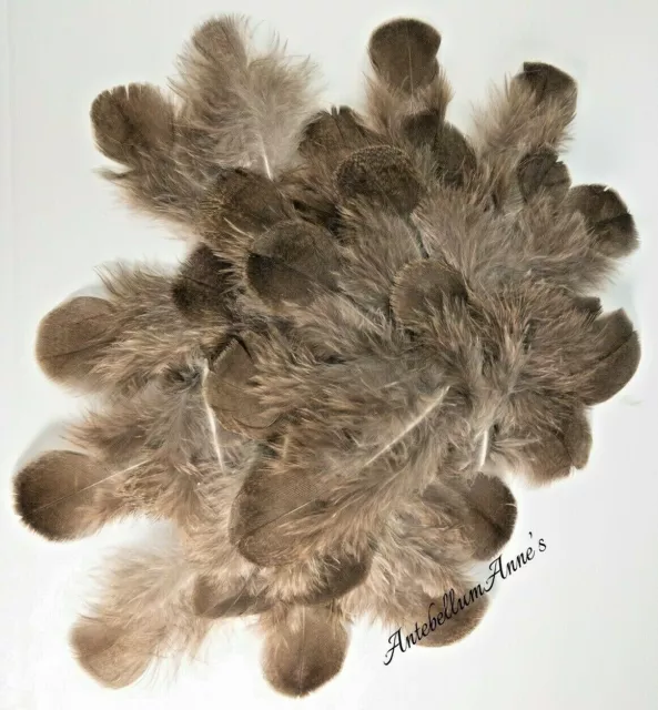 New Zealand Ethically Sourced Wild Female Peacock Silver Brown Feather Bundle