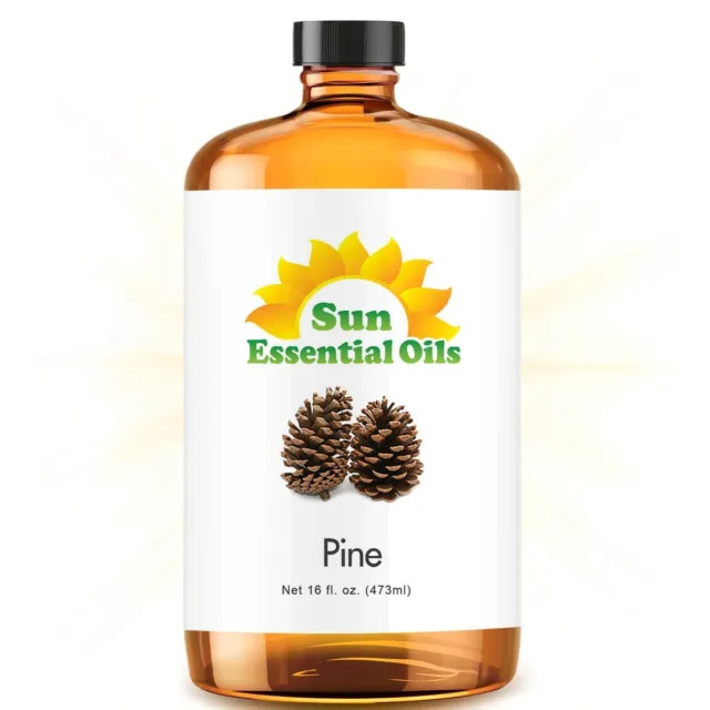 Best Pine Essential Oil 100% Purely Natural Therapeutic Grade 16oz