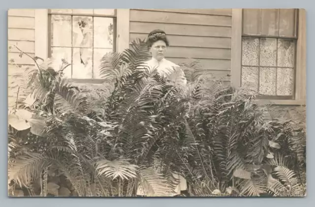 Woman Posing Behind Ferns RPPC Antique House Lace Curtains Photo Postcard 1910s