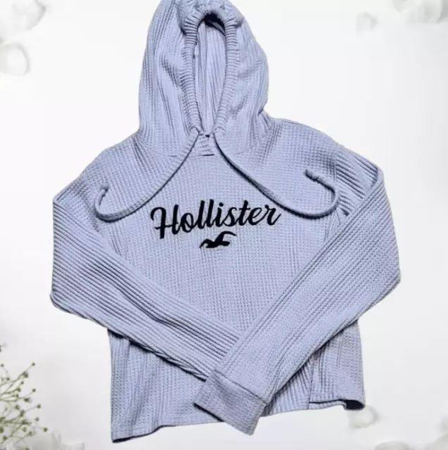 Hollister Pullover Hooded Sweatshirt Hoodie Embroidered Preppy