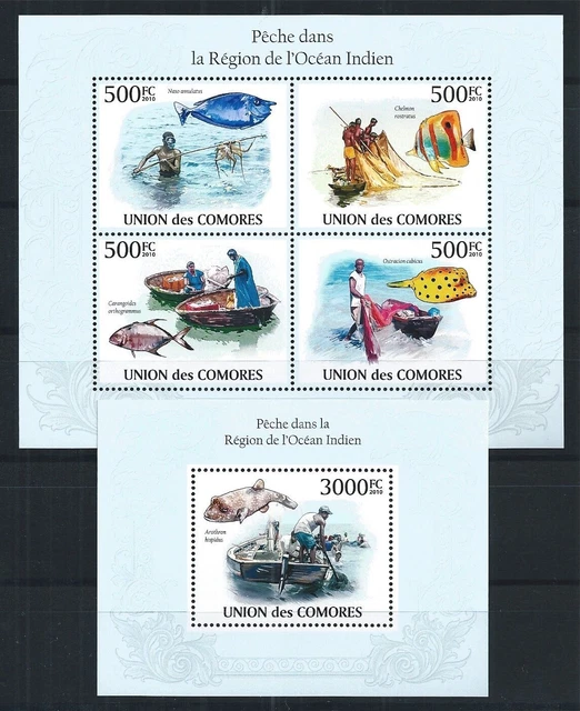 Comores Comoros 2010 Mini Sheet Block Set Fauna Indischer Ozean Fische