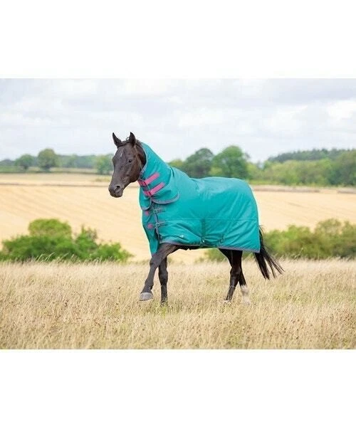 SHIRES WATERPROOF HORSE Turnout Blanket (100g Fill) with Detachable