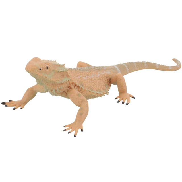 Modello lucertola giocattolo lucertola figure animali bambini apprendimento vasca da bagno giocattolo bambino