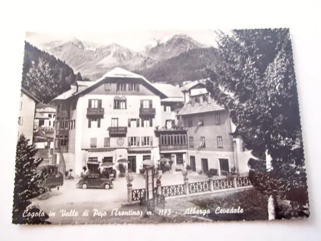 Cartolina Cogolo di Pejo - Albergo Cevedale 1950 ca