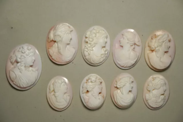 Lot of 9 Vintage Shell Cameo Nine Antique Cameos FREE SHIPPING