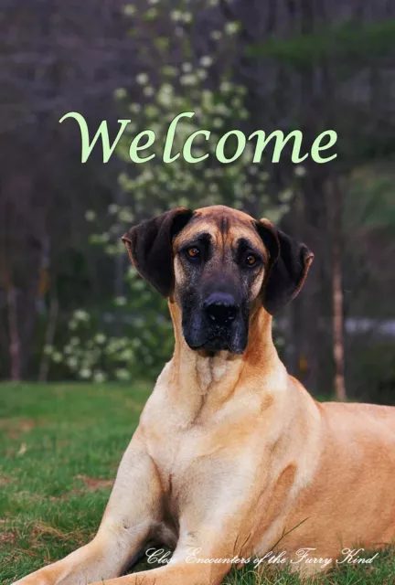 Great Dane Fawn Uncropped Close Encounters of the Furry Kind Welcome Flag