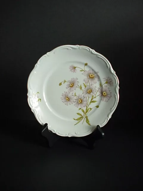 Mitterteich Daisy Bell Bavaria Germany Salad Plate Pattern 6500