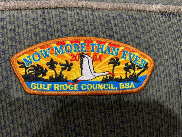 MINT CSP Gulf Ridge Council Florida SA-27 FOS