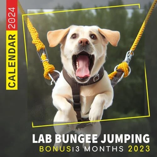 LAB BUNGEE JUMPING Calendar 2025 Jan 2025 to Dec 2025 Bonus 3 Months