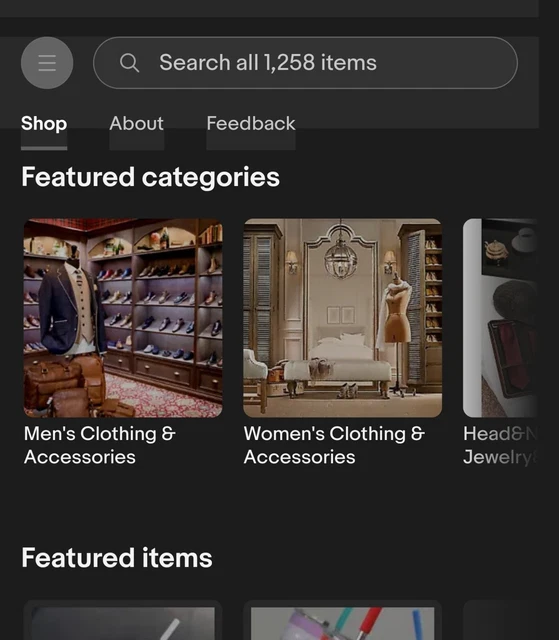 $70,000 eBay Store Inventory For Sale - Specialty Apperal Big Lots Boutique EASS