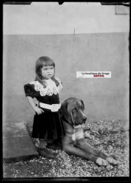 Plaque verre photo ancienne négatif noir et blanc 13x18 cm petite fille et chien