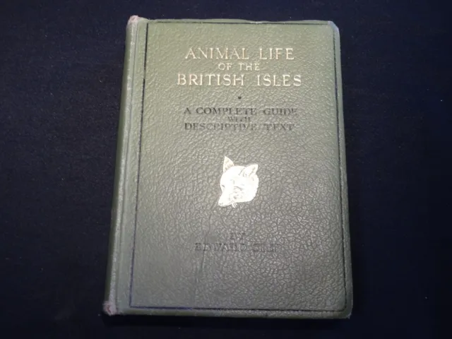 Animal Life Of The British Isles   Edward Step