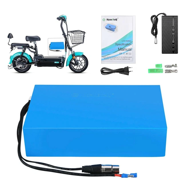 Batterie Vélo électrique 48V 20Ah Lithium-ion + Chargeur – HANIWINNER – 960Wh