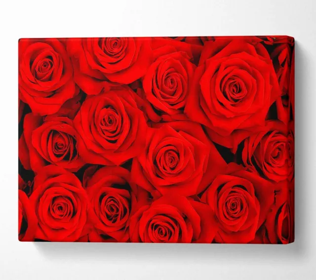 Lovely Roses For The One I Love Canvas Wall Art Home Decor Large Print