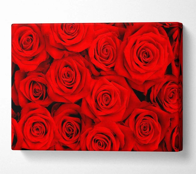 Lovely Roses For The One I Love Canvas Wall Art Home Decor Large Print