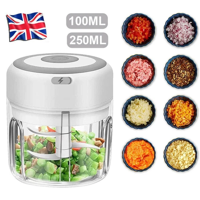 100/250ML Electric Garlic Chopper Vegetable Food Slicer Grinder Blender Crusher