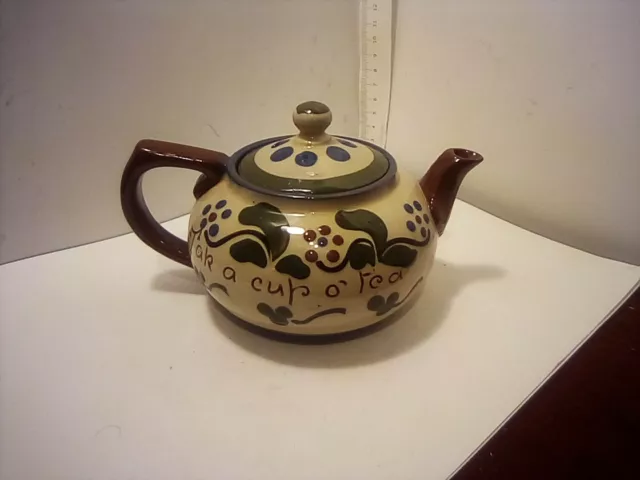 Watcombe Pottery Torquay Teapot  with flowers (Forget me nots) and motto
