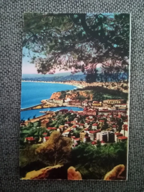 CPA nice general view of Mont Boron