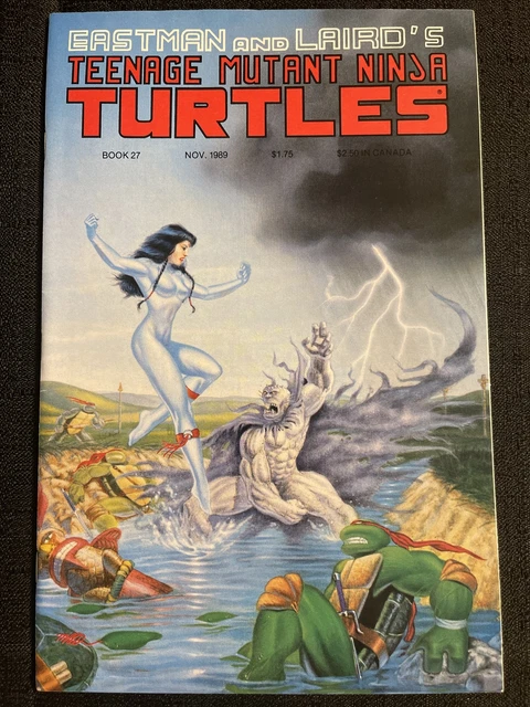 Teenage Mutant Ninja Turtles #27 Mirage 1989 Eastman Laird.