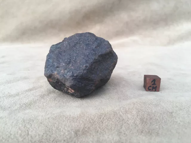 Meteorite Nwa Chondrite Mauritanie Sahara / 262 Grammes / 2019