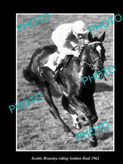 OLD LARGE HISTORIC PHOTO OF CHAMPION JOCKEY SCOBIE BRESLEY c1962 ON GOLDEN DEAL