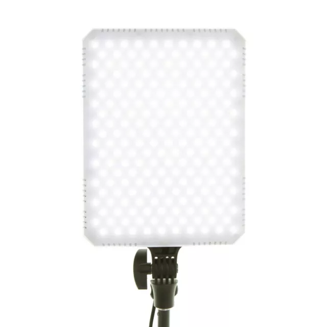 NanGuang COMBO40 LED Studio Light Head For Photography - NGCOMBO40