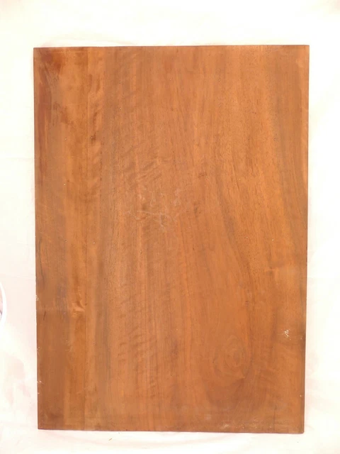 23" Antique French Carved Wood Panel Gothic PAIR Fruits Salvage + Ribbons Bow 9