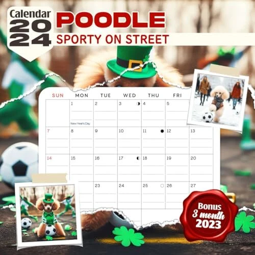 POODLE SPORTY ON Street Calendar 2024 Jan 2024 to Dec 2024 Bonus 3