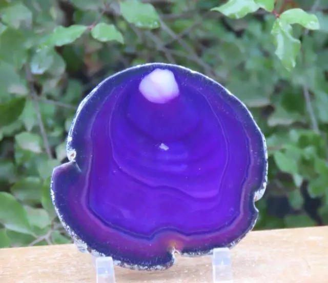 76 Grams Polished Dyed Purple Agate Crystal Slice 90mm Long