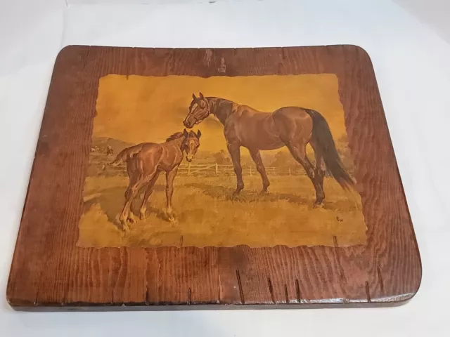 Vintage Decoupage Horse Mare & Colt Wall Hanging Live Edge 19"×16"